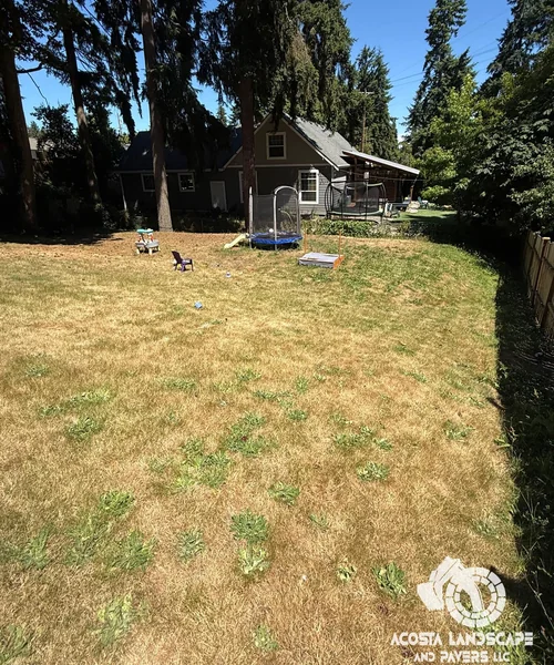 Landscape Design, Tiered Paver Patio & Turf in Shoreline 